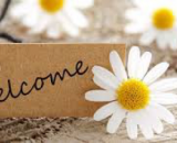 Welcome